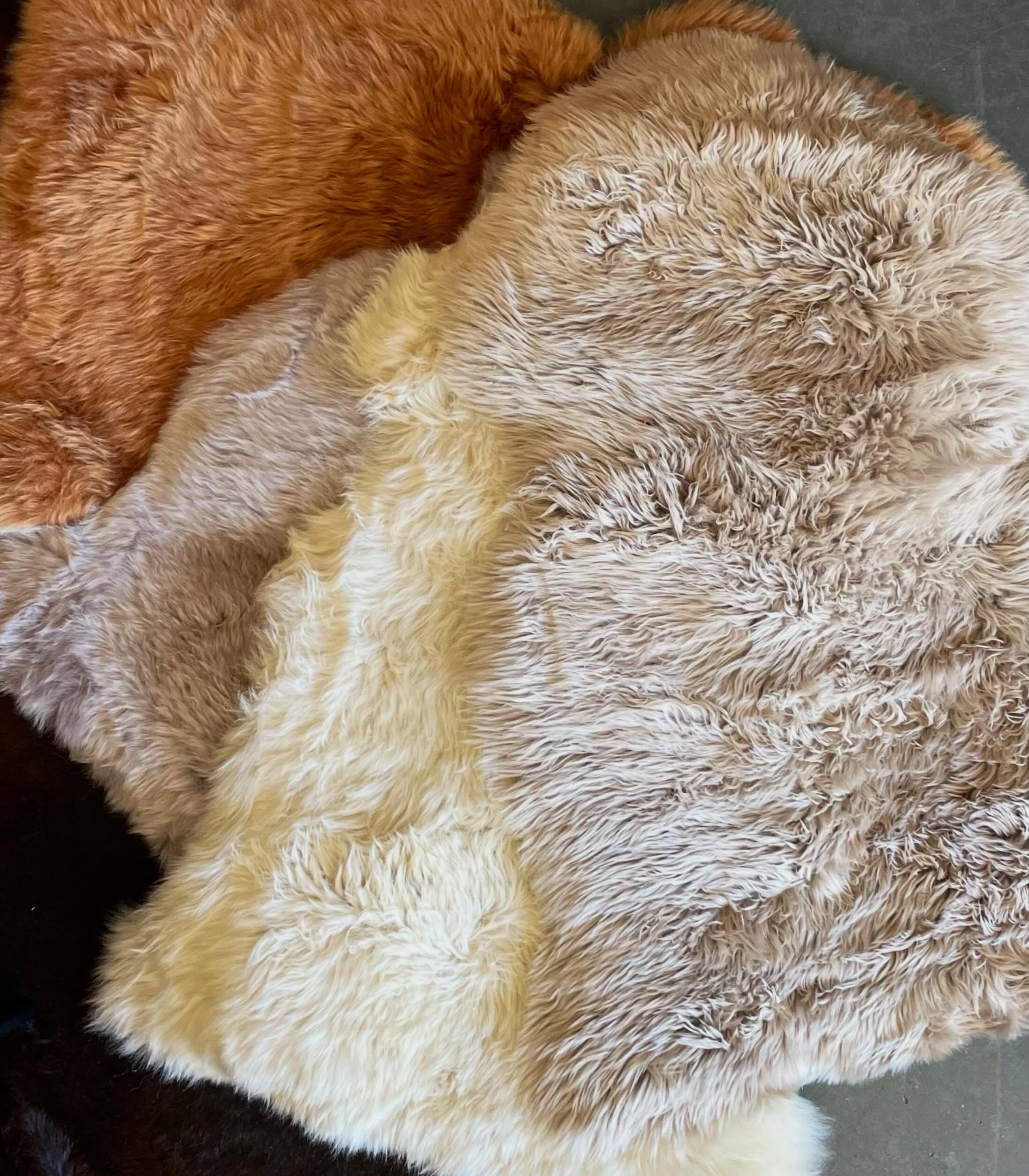 With that nip in the air why not warm things up 🔥 with a Merino wool sheep skin 🐑 ethically sourced, a byproduct of the meat industry ♻️ some fabulous new colours 🍂
#naturalhide #merinowoolsheepskins #resould #byproductofmeatindustry