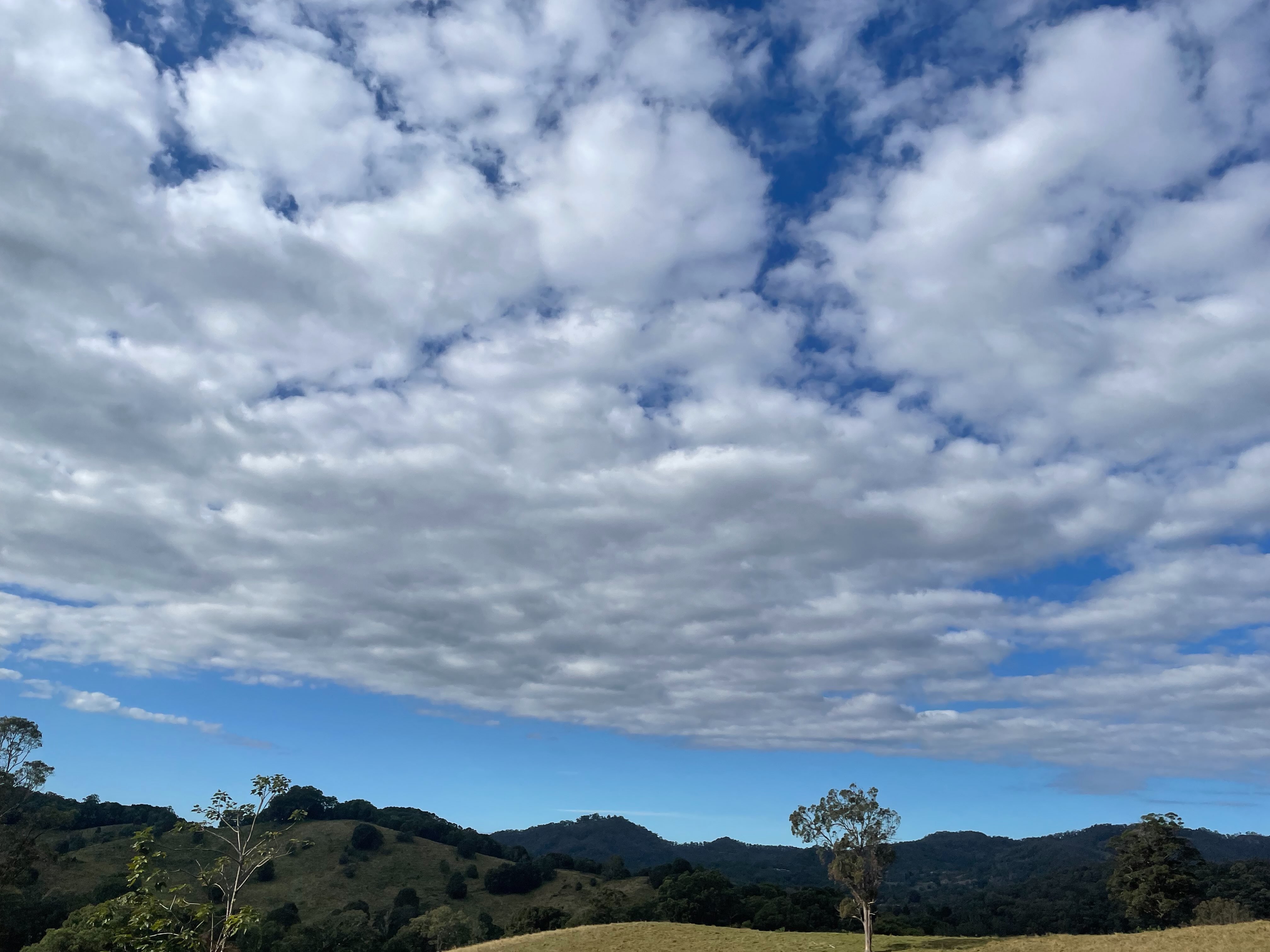 Clouds!! Could it be a Microsoft screensaver? 😁