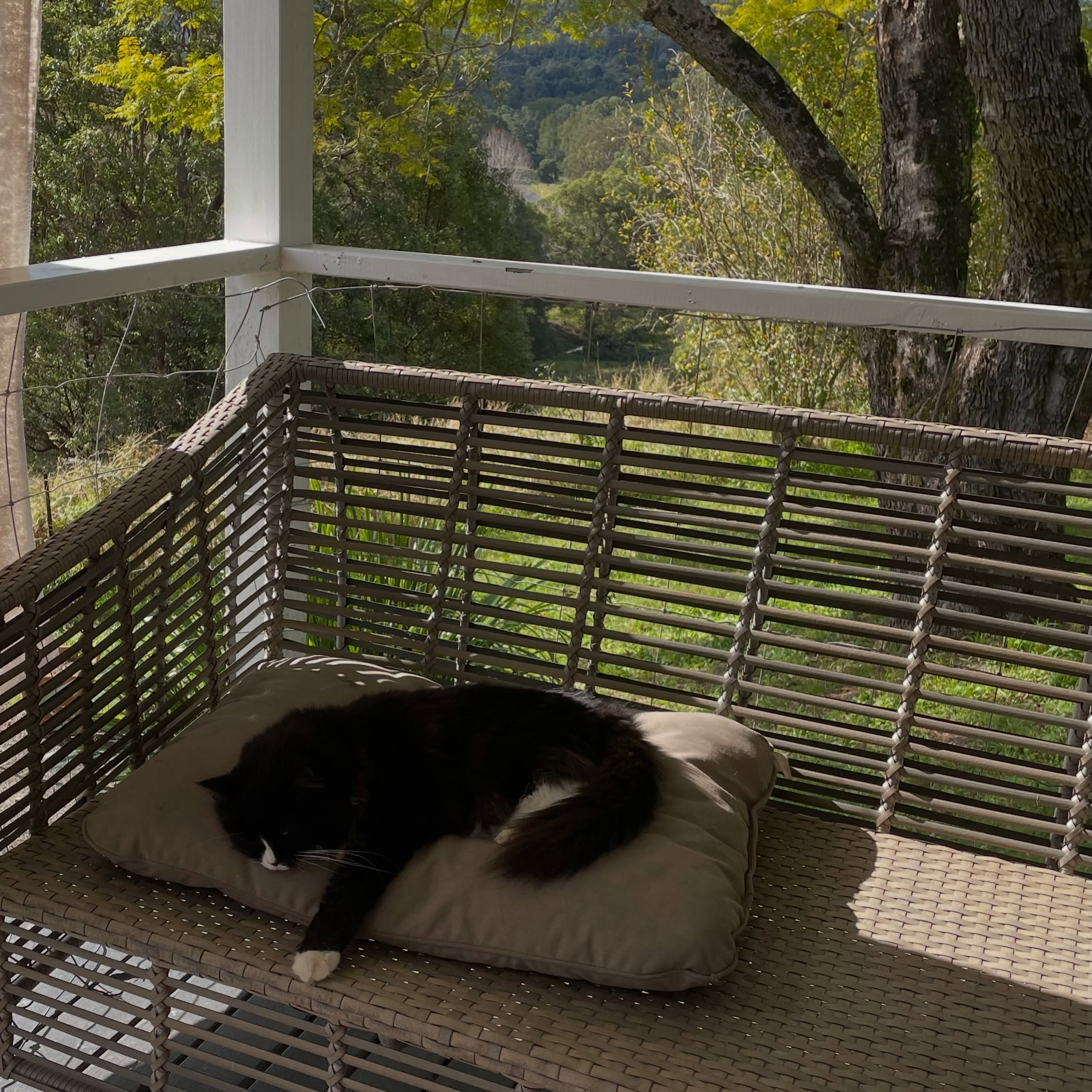 Bubble having time out from her VERY busy schedule…